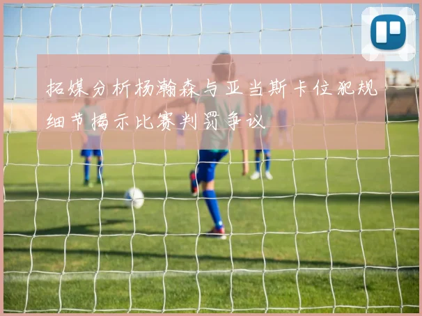 拓媒分析杨瀚森与亚当斯卡位犯规细节揭示比赛判罚争议