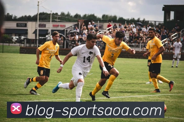 AOA体育APP 封面图